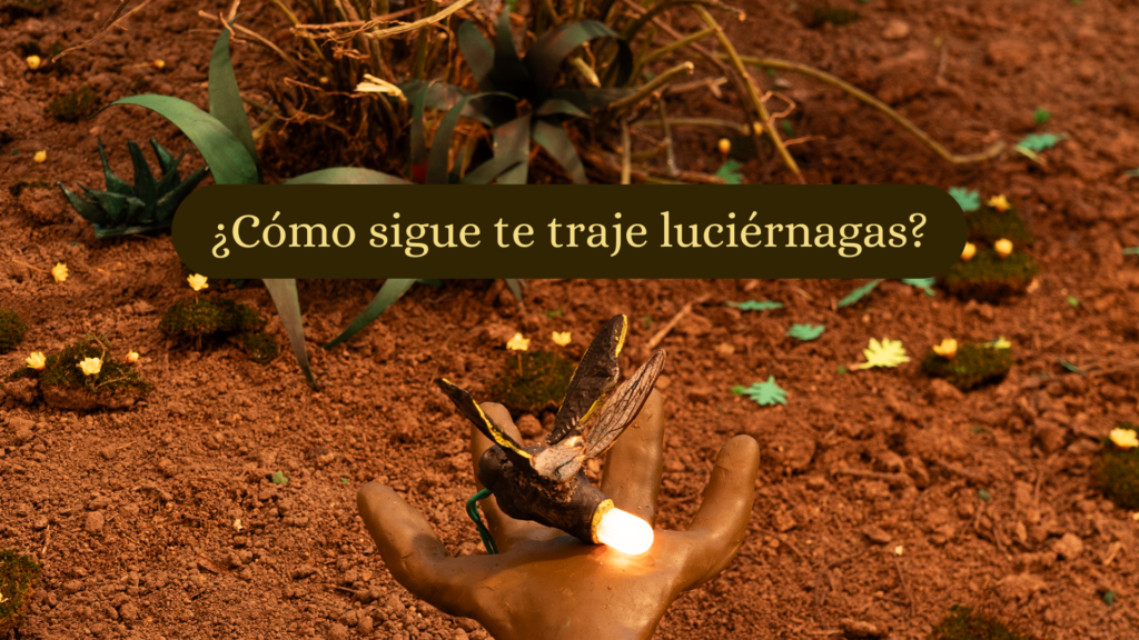 te traje luciérnagas