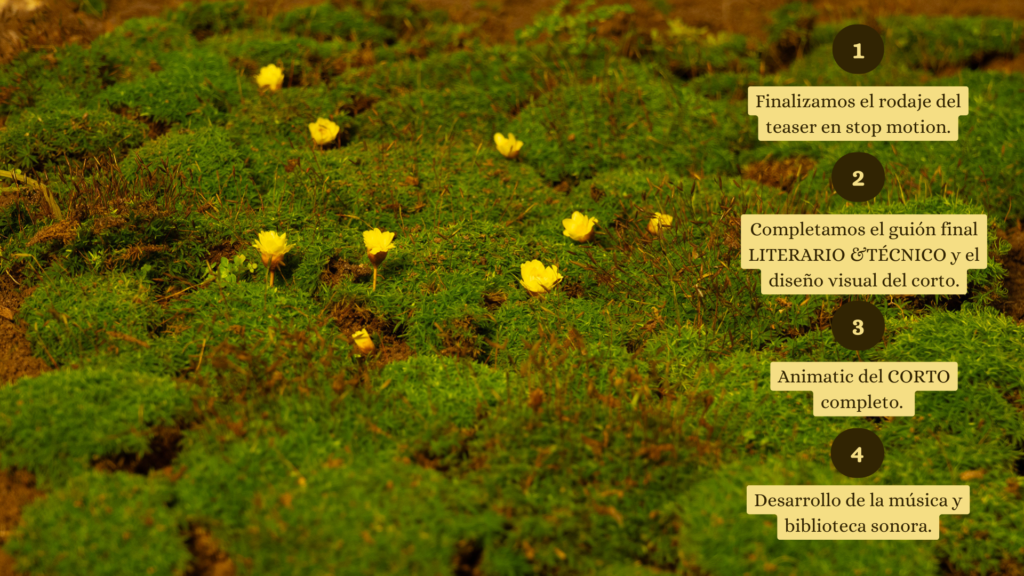 estudio paraje proyectos te traje luciérnagas